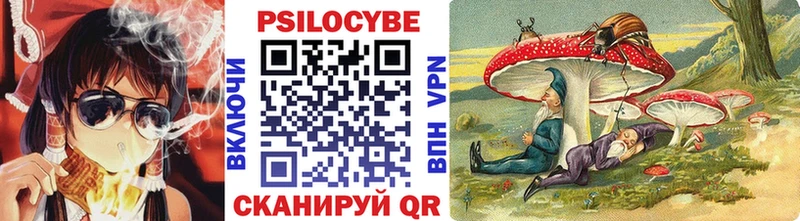 Псилоцибиновые грибы MAGIC MUSHROOMS Слободской